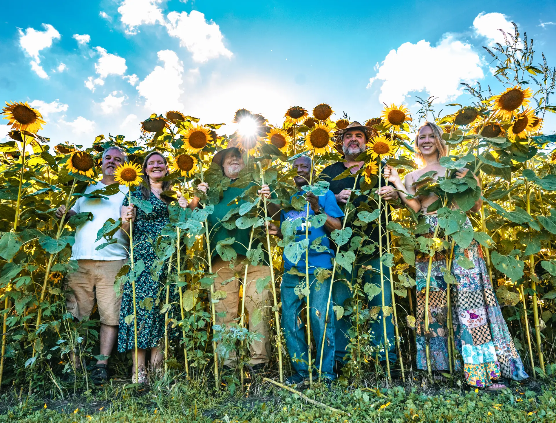 The members of Mr. Blink standing among tall sunflowers under a bright blue summer sky